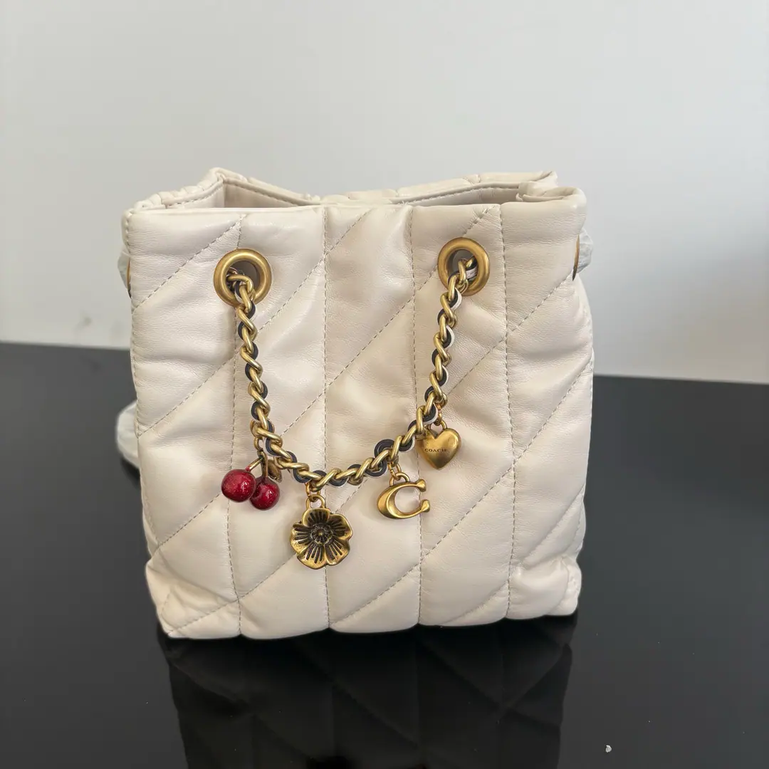 【Original factory skin】【Packaging】 coach CES62 VII🈷️New｜Milk is a cloudy tack. The new Lucky bag is really a pain in the ass.！ The chain is a little bit of a little bit of a little bit of a moose.. It's single-handed., It's a lot of leisure time.. Who knows?！The white milk and summer are not exactly the match for Thai.！ Dimensions: Long14.5centimetres Kuan9centimetres High17centimetres Next call.15013139986【TB88KC88】v.Letter