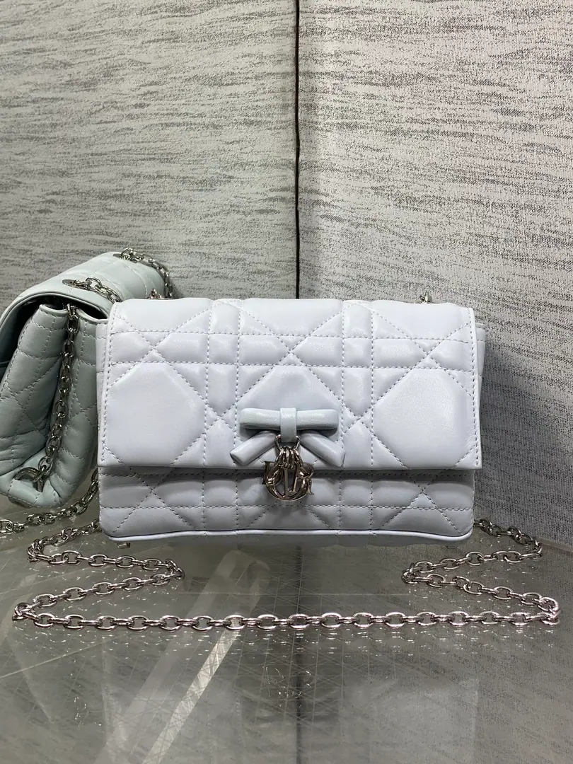 Glacier blue spot.‼️ The newest VV chain in the brick cabinet.WOC Signal vine grooves, The classic letter hanging. A special butterfly knot design., With soft sheep skin. Elegance and fashion., The bright spot is the beautiful bow chain. Make the whole bag even more sophisticated., Multiple layers and slots inside, A beautiful, practical one. size: 21*11.5*7cm 5841 0008