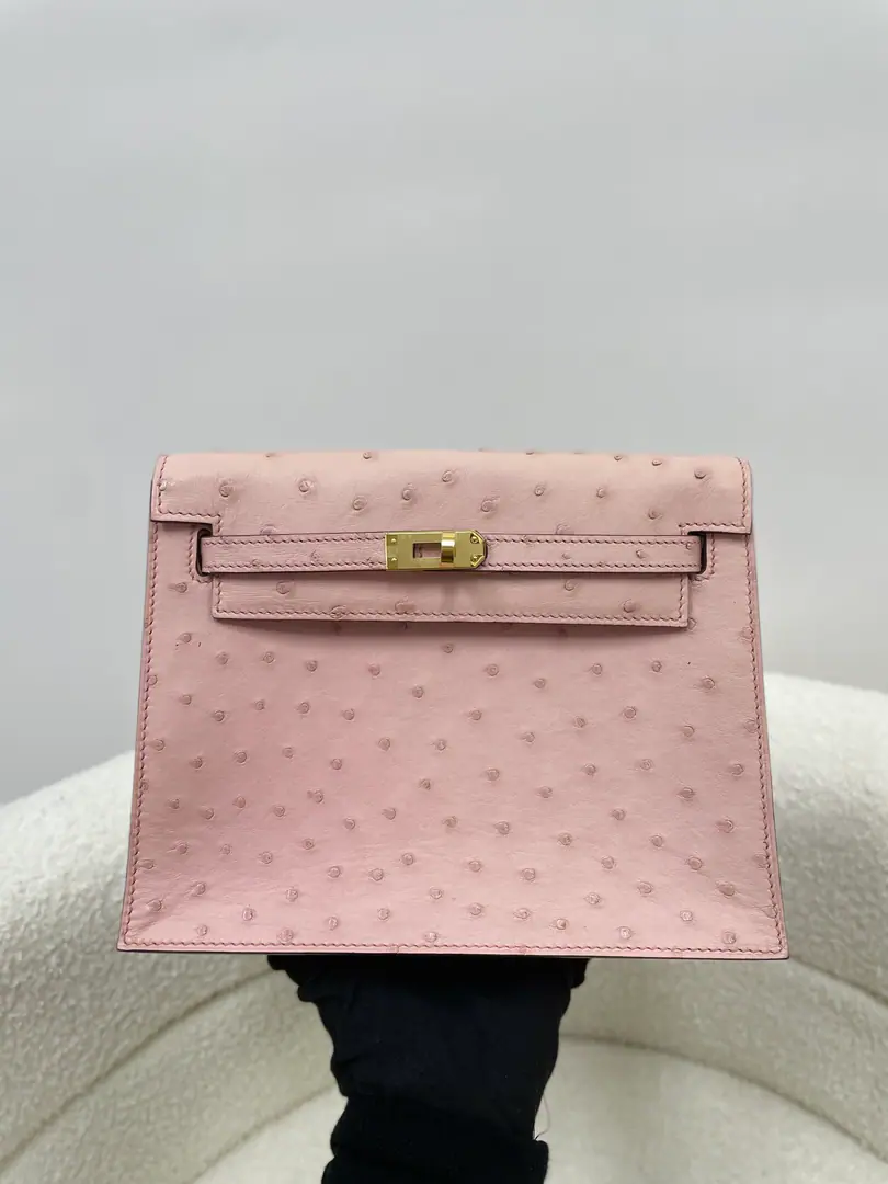 Import of South African ostrich skin, Dance bag size. 22X17X7
